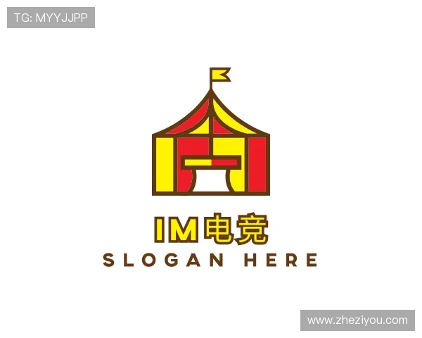 介绍IM电竞